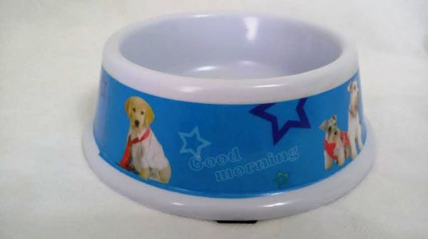 Comedouro Tamanho M  - Cor azul